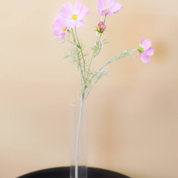 Космея искусственная